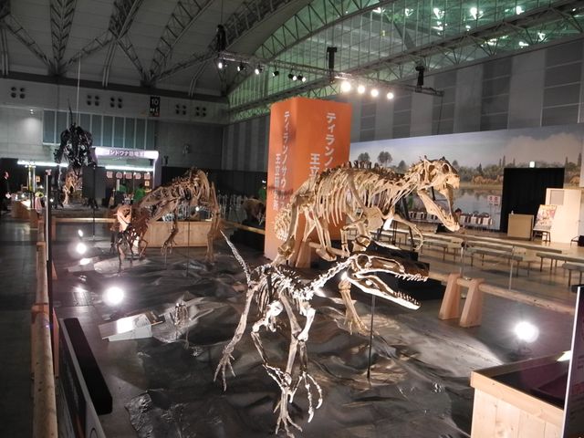 「世界最大 恐竜王国2012」報道内覧会写真ギャラリー（7枚目）