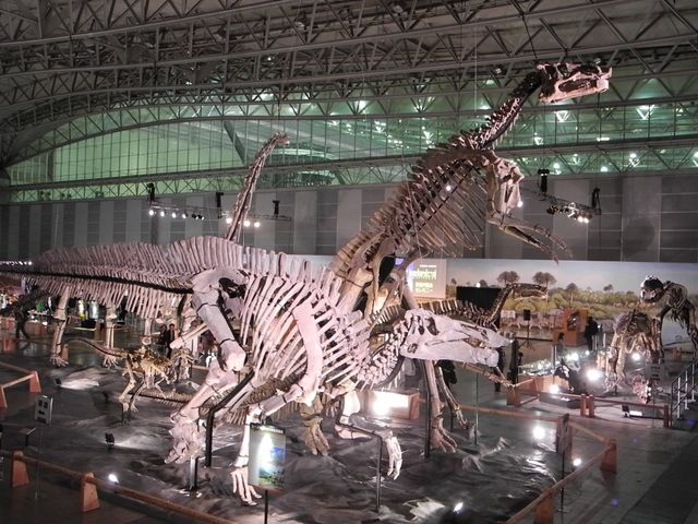 「世界最大 恐竜王国2012」報道内覧会写真ギャラリー（8枚目）