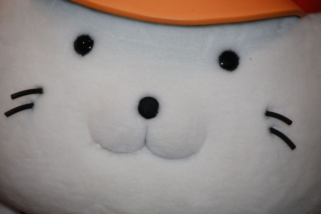 リケジョ＆リケダンルックの土屋太鳳＆間宮祥太朗、自転車で登場！（8枚目）