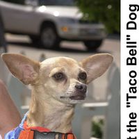 gidget.jpg