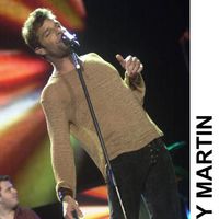 ricky_martin07.jpg