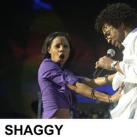 shaggy1.jpg