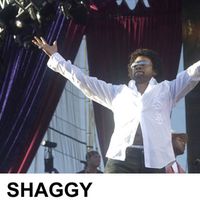 shaggy2.jpg