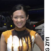 zhang_ziyi5.jpg