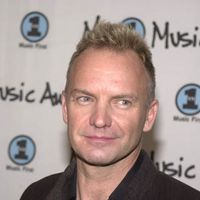 sting001.jpg