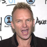 sting002.jpg