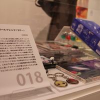 IMG_7646.jpg