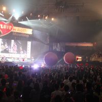 IMG_8806.jpg