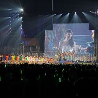 IMG_1415.jpg