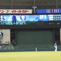 IMG_1913.jpg