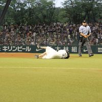 IMG_1976.jpg