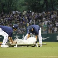 IMG_1996.jpg