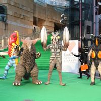 IMG_0179.jpg