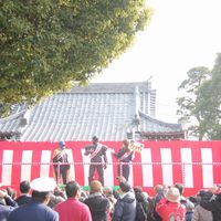 IMG_8583.jpg