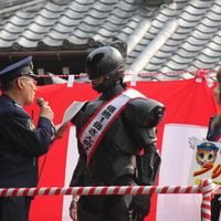IMG_8591.jpg