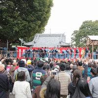 IMG_8640.jpg