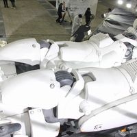 IMG_5701.jpg