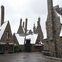 DSC_0024.jpg