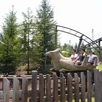 DSC_0031.jpg