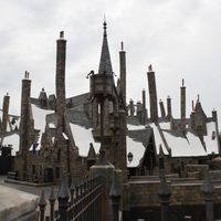 DSC_0077.jpg