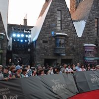 DSC_0152.jpg