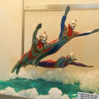 ultrafes2015-7.jpg