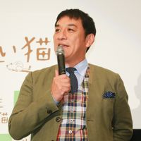 senseimayoinekokansei-9.jpg