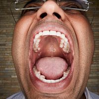 MostTeeth.jpg