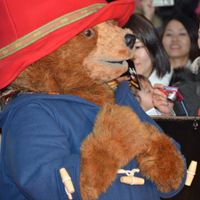 DSC_0157.jpg