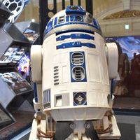 DSC_0157.jpg