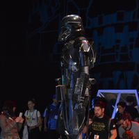 DSC_0200.jpg