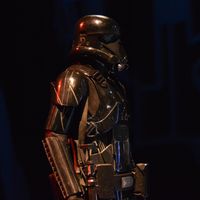 DSC_0241.jpg
