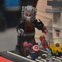 DSC_0465.jpg