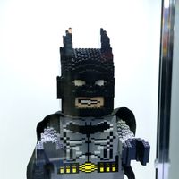 IMG_0023_Fotor.jpg