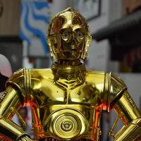 DSC_0163.jpg