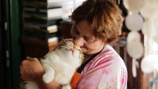 「猫の街」イスタンブールで暮らす“幸福”な猫たち