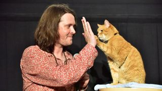 猫ボブのハイタッチは悶絶級のかわいらしさ！【写真たくさん】