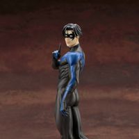 DC028_nightwing_0824_5.jpg