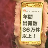 Houjinin171017_A.mp4_000023878.jpg