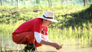 関ジャニ∞村上信五「27時間テレビ」でたけしのために田植え！