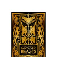 FANTASTIC_BEASTS_AND_WHERE_TO_FIND_THEM_MINALIMA.jpg