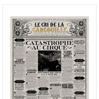 LE_CRI_DE_LA_GARGOUILLE_CATASTROPHE_AU_CIRQUE_MINALIMA.jpg