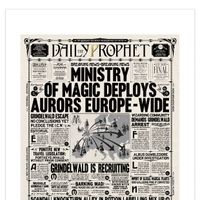 THE_DAILY_PROPHET_MINISTRY_OF_MAGIC_DEPLOYS_AURORS_EUROPE_WIDE_MINALIMA.jpg