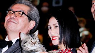 柴咲コウ、かわいい猫を抱っこ！『ねことじいちゃん』完成披露試写会