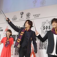 HarryPotterGO-16.jpg