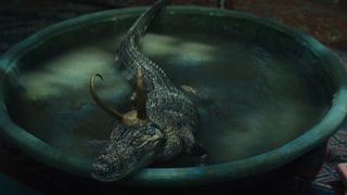 ファン急増中のアリゲーター・ロキも!変異体ロキまとめ