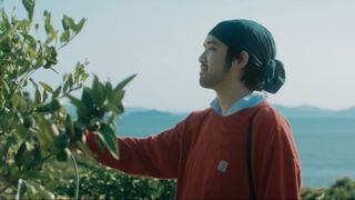 ミドルエイジの青春ストーリ『やがて海になる』場面写真