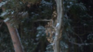 高橋一生主演『脛擦りの森』場面写真と柘植伊佐夫のデザイン画