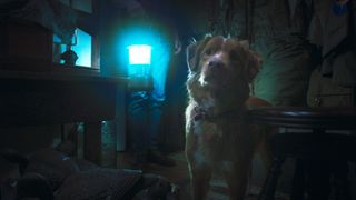 『GOOD BOY／グッド・ボーイ』 場面写真ほか