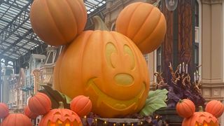 「ディズニー・ハロウィーン」の様子をチラ見せ